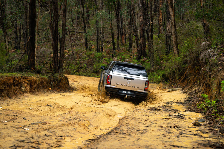 4x4 Show Specials